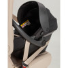 Carrello Vector CRL-6551 - легкая детская коляска 3в1 с регулировкой высоты люльки и прогулочного сиденья, с автокреслом для новорожденного Carrello Nova (0 - 15 месяцев / 40 - 87 см) • Golden Beige