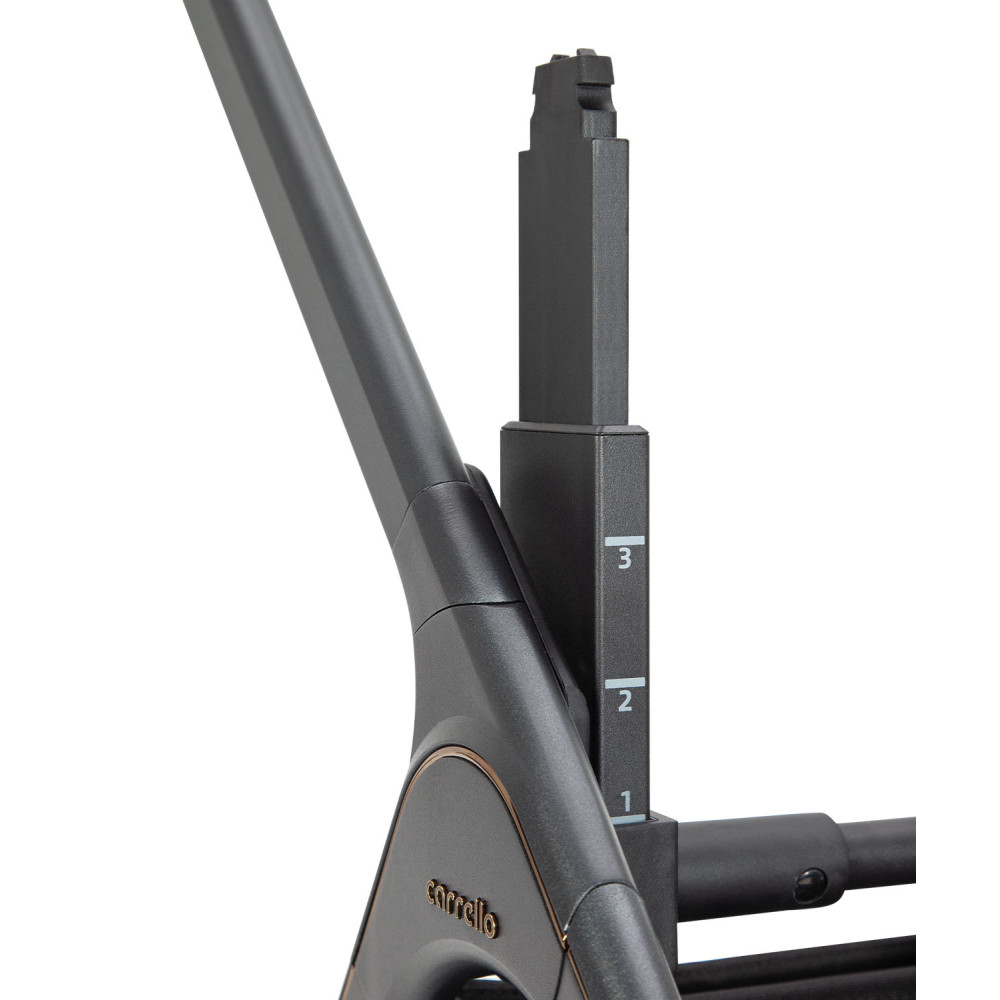 Carrello Vector CRL-6551 - легкая детская коляска 3в1 с регулировкой высоты люльки и прогулочного сиденья, с автокреслом для новорожденного Carrello Nova (0 - 15 месяцев / 40 - 87 см) • Golden Beige