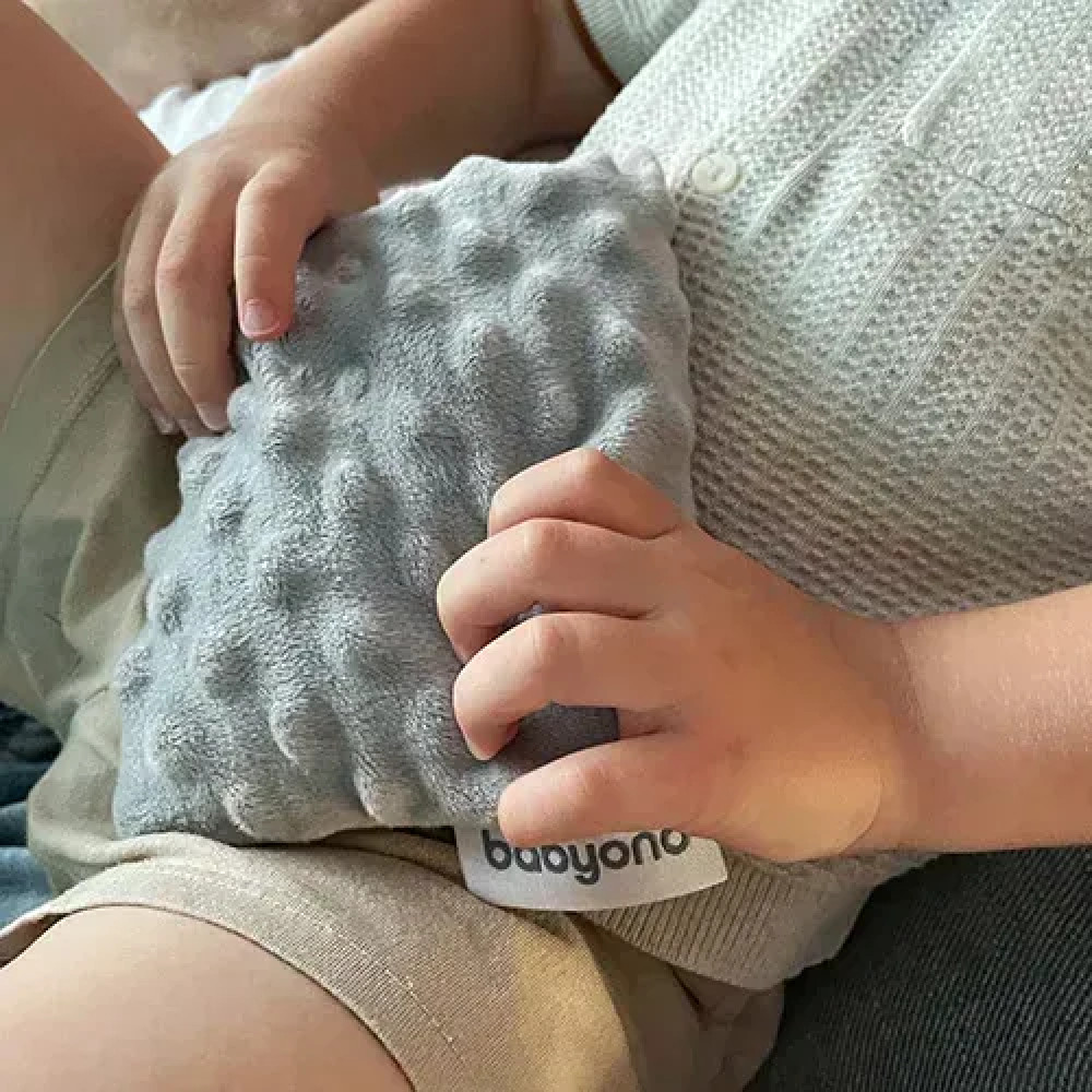 Грелка из вишневых косточек с ароматом лаванды BabyOno Голубой (796/03) Грелка из вишневых косточек с ароматом лаванды BabyOno Голубой (796/03)