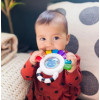 Іграшка-брязкальце Baby Einstein Outstanding Opus