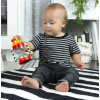 Игрушка-погремушка Cal’s Sensory Shake-up Baby Einstein