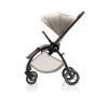 Britax Romer Rio - всесезонна прогулянкова коляска, легка рама, безкамерні шини • Teak