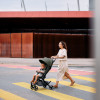 ABC Design Ping 3 Travel - прогулянкова коляска для подорожей • Camel