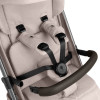  ABC Design Ping 3 Trekking - прогулочная коляска для путешествий • Camel
