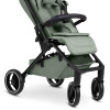ABC Design Ping 3 Trekking - прогулочная коляска для путешествий • Pine
