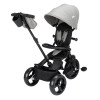 Bebe Confort Windy - дитячий триколісний велосипед, батьківська ручка, кошик • Tinted Grey (1144077210)