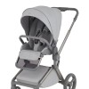 Anex Flo - легка компактна дитяча коляска 2в1 з адаптерами регулювання висоти люльки та прогулянкового сидіння (складна люлька, дихаючий матрац Sorona, телескопічна ручка) • Frossy