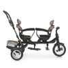 Велосипед дитячий триколісний для двійні Turbo Trike MT 1004DUOS-3