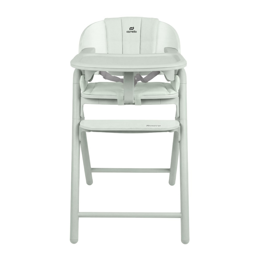Carrello Tenero CRL-9507 - стульчик для кормления 3в1, шезлонг для новорожденного • Elysium Green