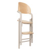 Carrello Tenero CRL-9507 - стільчик для годування 3в1, шезлонг для немовля • Olympus Beige Wooden