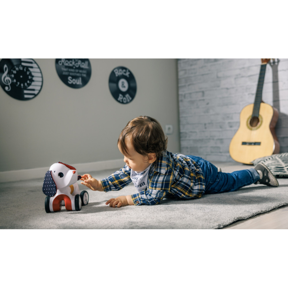 Tiny Love Rock N Roll - игрушка-каталка Песик Чарли, коллекция Rock N Roll, от 6 месяцев • Разноцветная (1506700458)