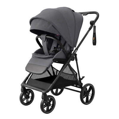 Carrello Extra CRL-5532 - легкая прогулочная коляска с реверсивным блоком • Chrome Grey