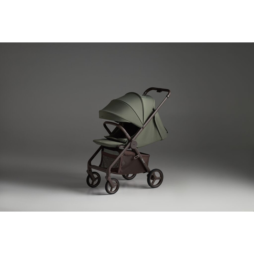 Anex Ride - прогулочная коляска • Freshy