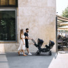 ABC Design Tulip i-Size - детское автокресло (0 - 15 міс / 40 - 83 см / 0-13 кг), с анатомическим вкладышем, регулируемым подголовником и козырьком от солнца • Black
