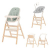 Carrello Ergo CRL-16701 - стульчик для кормления, шезлонг для новорожденного, обучающая башня до 75 кг, детский стульчик (дуга с мягкими игрушками, регулируемая подножка) • Elora Green