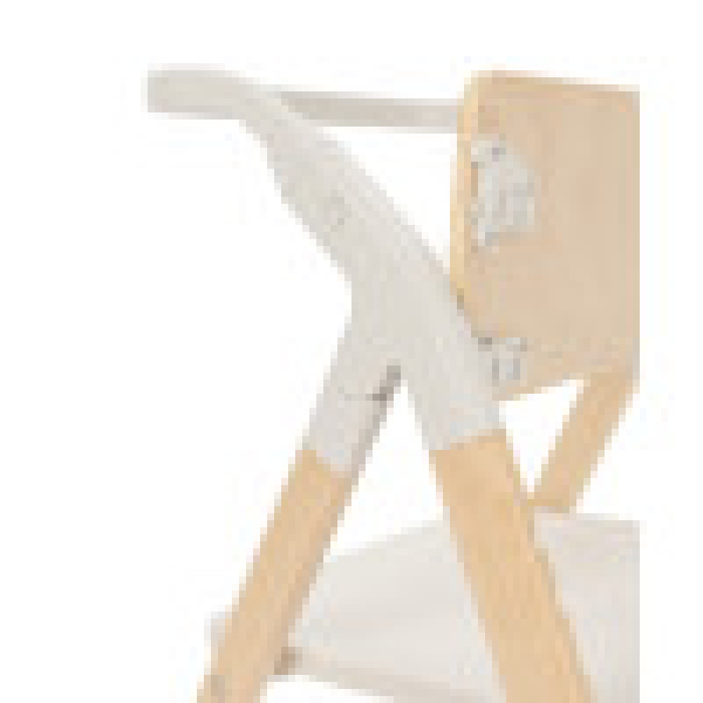 Carrello Ergo CRL-16701 - стільчик для годування, шезлонг для немовля, навчальна вежа до 75 кг, дитячий стільчик (дуга з м’якими іграшками, регульована підніжка) • Elora Green