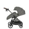 Carrello Costa CRL-5543 - прогулочная коляска с реверсивным сиденьем • Echo Grey