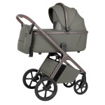 Carrello Vector CRL-6553 - універсальна дитяча коляска 2в1 з регулюванням висоти люльки та сидіння • Artichoke Green Carrello Vector CRL-6553 - універсальна дитяча коляска 2в1 з регулюванням висоти люльки та сидіння • Artichoke Green
