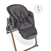 Maxi-Cosi Ava Plus - стільчик для годування • Elegance Graphite