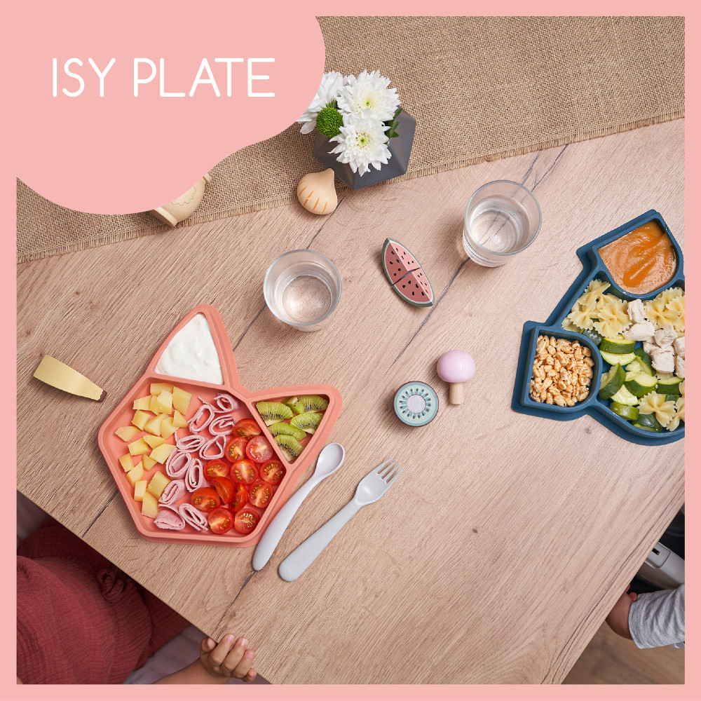 Babymoov Isy Plate - силиконовая секционная тарелка с 3 отделениями, 6 мес+ • Fox