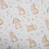 Twins Satin Limited - змінна постільна білизна для ліжечка, 4 елементи • Bunny