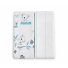 Twins Organic - набор пеленок из органического хлопка 110×80 см, 2 шт • Boy