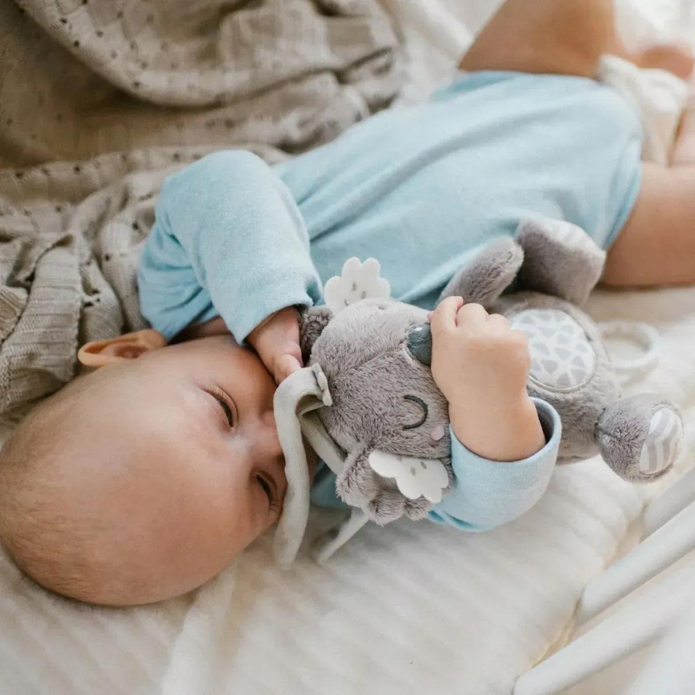 BabyOno Коала Коко - музична іграшка-підвіска (1632) BabyOno Коала Коко - музична іграшка-підвіска (1632)