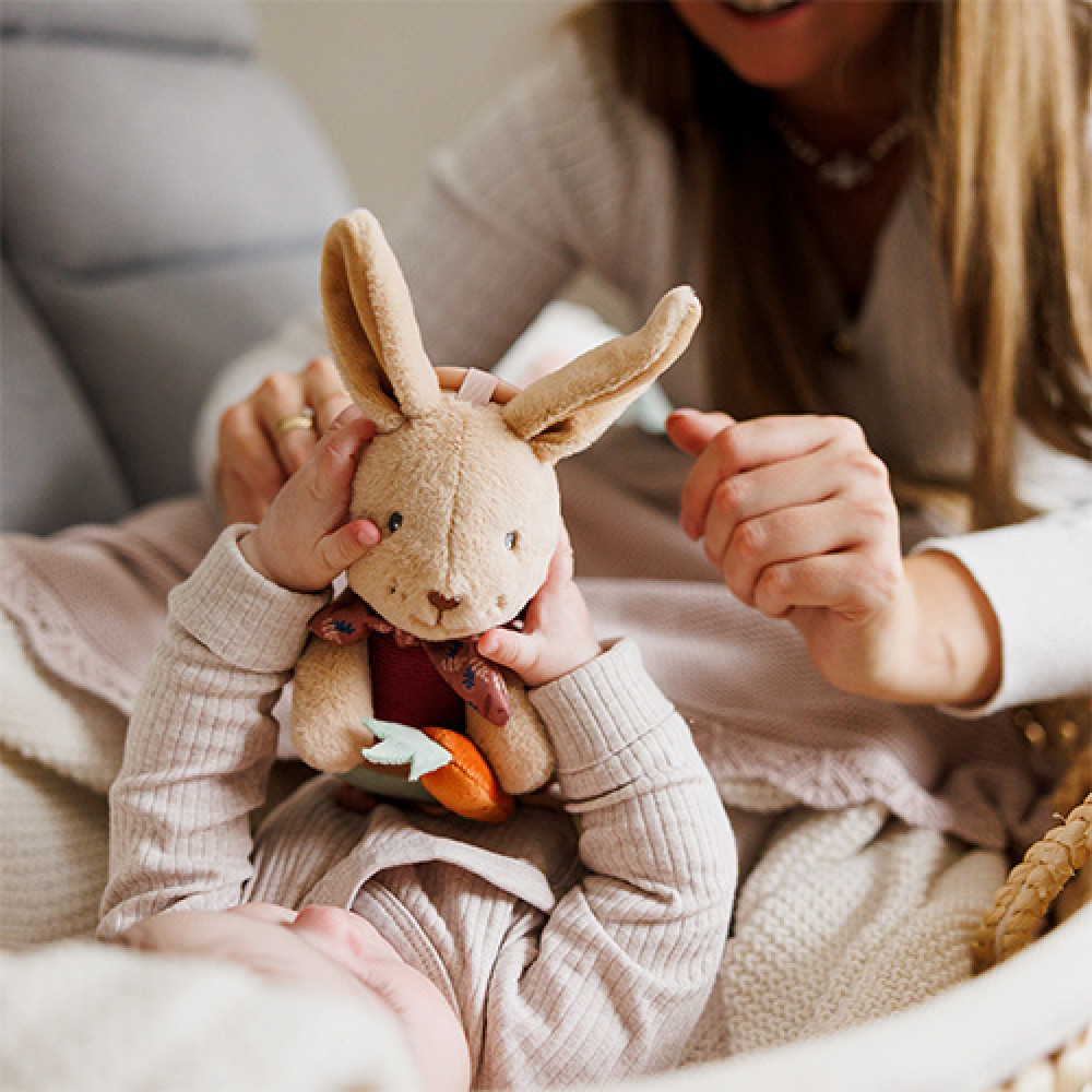 BabyOno Кролик Каро Hanging Toy - розвиваюча іграшка-підвіска (1685) BabyOno Кролик Каро Hanging Toy - розвиваюча іграшка-підвіска (1685)