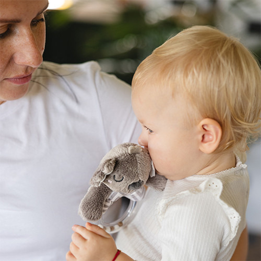 BabyOno Коала Коко - брязкальце з м'якою іграшкою (1634) BabyOno Коала Коко - брязкальце з м'якою іграшкою (1634)