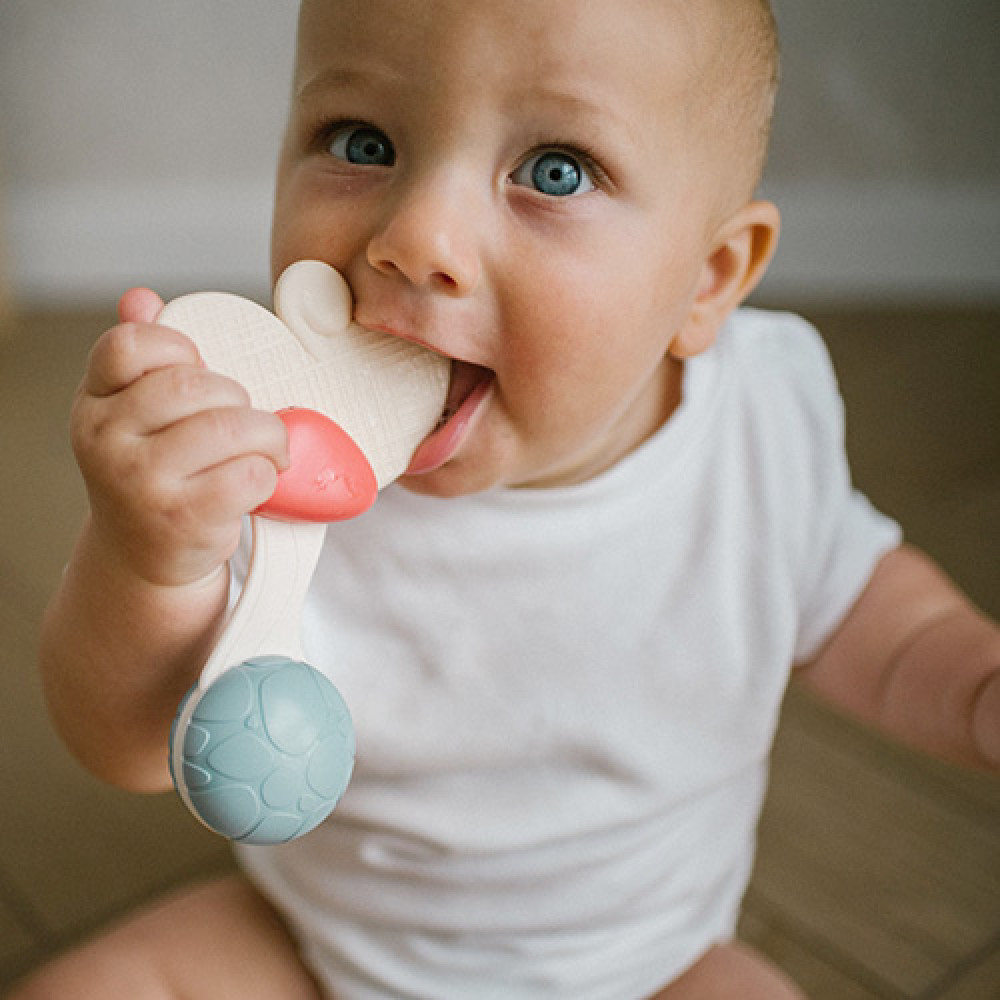 BabyOno Метелик - брязкальце-прорізувач (1589) BabyOno Метелик - брязкальце-прорізувач (1589)