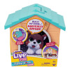 Little Live Pets Будинок з сюрпризом Міні - іграшка-сюрприз • Оранжевий (26616)