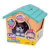 Little Live Pets Будинок з сюрпризом Міні - іграшка-сюрприз • Оранжевий (26616)