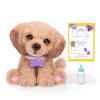 Little Live Pets Лагідне цуценя Бейлі - інтерактивна іграшка (26805)