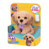 Little Live Pets Лагідне цуценя Бейлі - інтерактивна іграшка (26805)