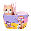Little Live Pets Мама-сюрприз Кішка - інтерактивна іграшка (26785)