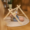Lionelo Anis Set - розвивальний килимок зі стійкою baby gym