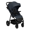 Lionelo Iva - прогулянкова коляска • Grey Graphite