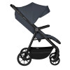 Lionelo Iva - прогулянкова коляска • Grey Graphite