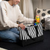 Baby Einstein Twist-a-Pal Cal - музична розвиваюча іграшка-гусениця 6 міс.+