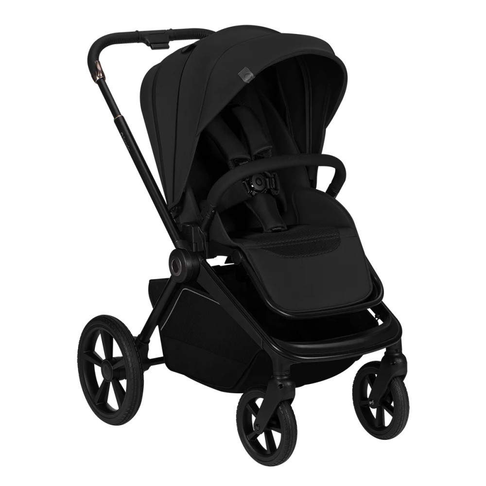 Lionelo Freya 2в1 - детская коляска 2 в 1, люлька складывается вместе с рамой • Black Onyx