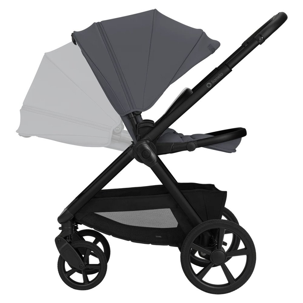 Lionelo Carmine 2в1 - детская коляска 2 в 1 • Grey Stone