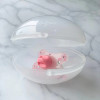 Difrax Steriliser Egg - стерилізатор для пустушок