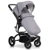 Коляска 2 в 1 EasyGo Soul Grey Fox (Ізі Гоу Соул Грей Фокс)