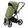 Коляска 2 в 1 Adamex Belissa Lux PS-38