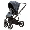 Коляска 2 в 1 Adamex Belissa Lux PS-39