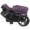 Коляска 2 в 1 Adamex Belissa Lux PS-56