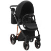 Коляска 2 в 1 Adamex Belissa Special Edition PS-571 чёрный