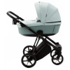 Коляска 2 в 1 Adamex Belissa TIP PS-25