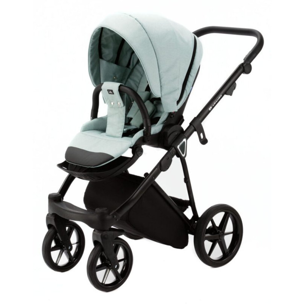 Коляска 2 в 1 Adamex Belissa TIP PS-25