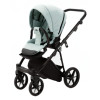 Коляска 2 в 1 Adamex Belissa TIP PS-25